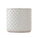 Hobnail Toothbrush Holder, Cream/Natural